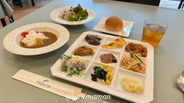 自分で取り分けたバイキング料理のプレート（ウェルピア伊予）