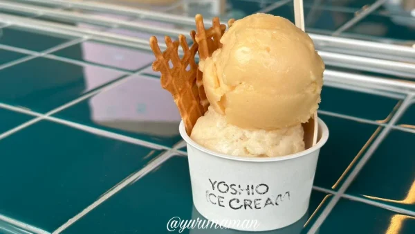 ヨシヲアイスクリーム(四国中央市)スモールサイズ - ゆりママんブログ ヨシヲアイスクリーム(四国中央市)スモールサイズ