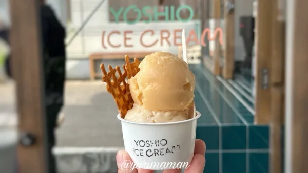 ヨシヲアイスクリーム（四国中央市）スモールサイズ2