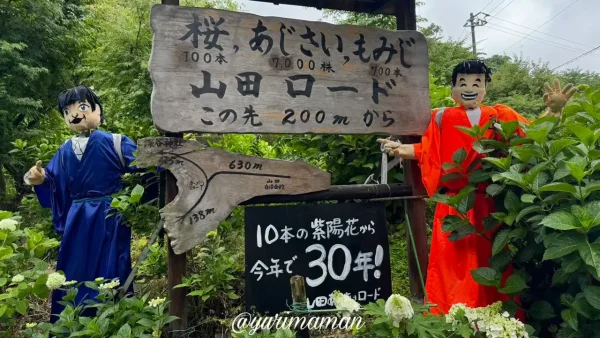 今年で30周年を迎えたあじさいロード山田の入口看板とかかし（新居浜市）1