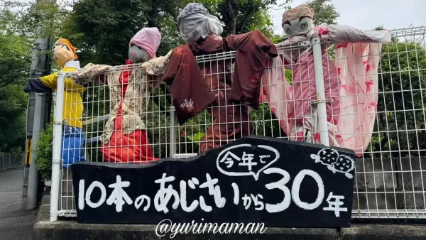 今年で30周年を迎えたあじさいロード山田の入口看板とかかし（新居浜市）1