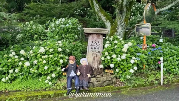 新居浜市のあじさいロード山田・かかしと木の看板が並ぶフォトスポット（2025年6月13日撮影）