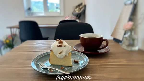 CAFE NOA.（松山市）カフェ限定チーズケーキ3