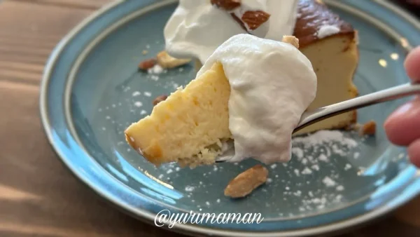 CAFE NOA.（松山市）カフェ限定チーズケーキ2