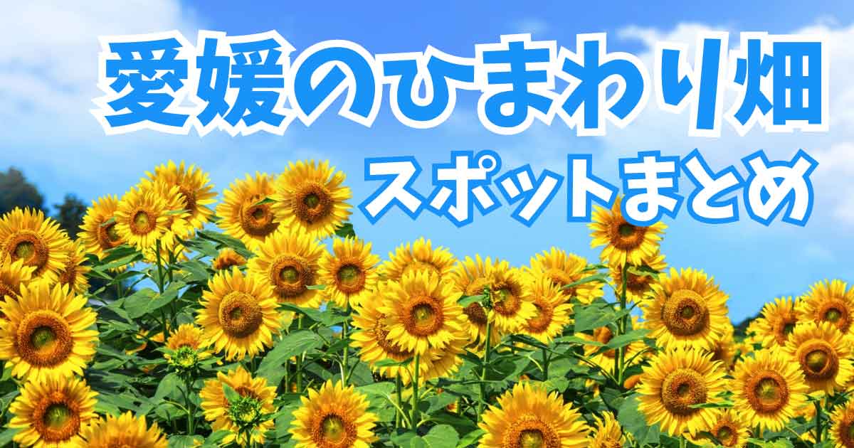 愛媛のひまわり畑スポットまとめ_サムネイル画像