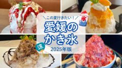 愛媛のかき氷まとめ（2025年）サムネイル画像