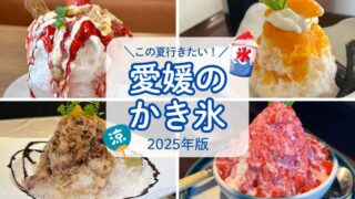 愛媛のかき氷まとめ（2025年）サムネイル画像