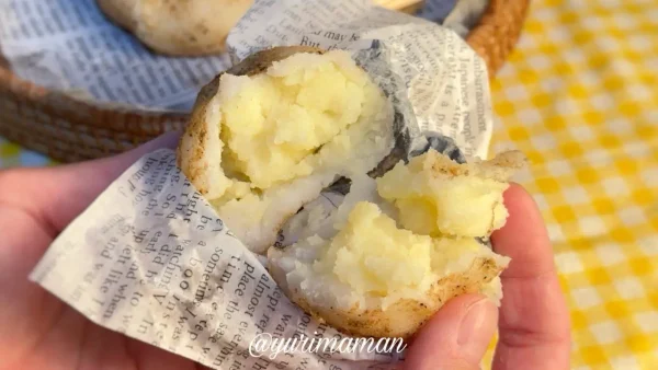 新居浜で販売されている韓国発のじゃがいもパン「カムジャパン」。土付きじゃがいもそっくりの見た目1