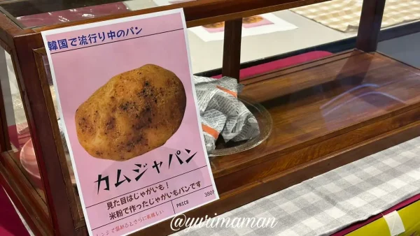 新居浜で販売されている韓国発のじゃがいもパン「カムジャパン」1
