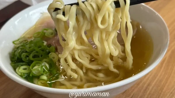 こだま食堂（四国中央市土居町）ラーメン5