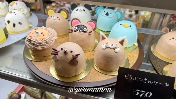 松山のケーキ店「カトルセゾン菓子夢」どうぶつさんケーキが並んでいる様子1