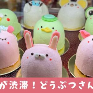 松山のケーキ店「カトルセゾン菓子夢」どうぶつケーキ_サムネイル画像