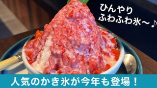 松山でおすすめかき氷「ソラニワガレー」サムネイル画像