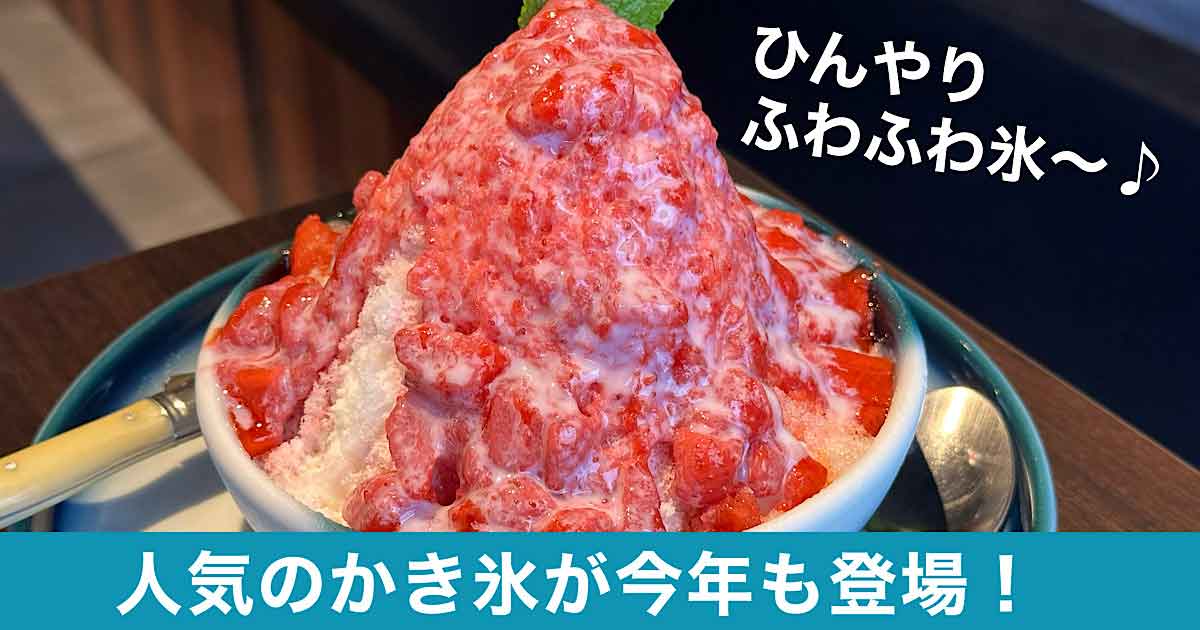 松山でおすすめかき氷「ソラニワガレー」サムネイル画像