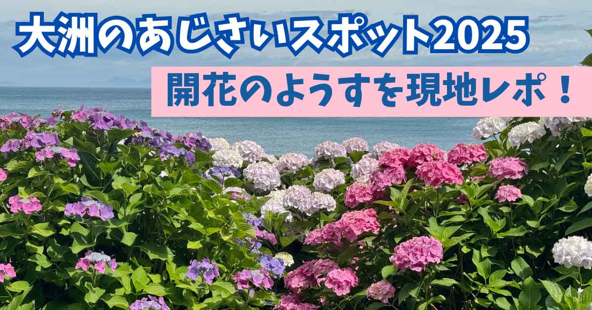 【2025年】大洲市あじさいスポットめぐりまとめ_サムネイル画像