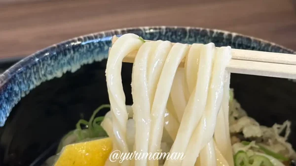 ぴっぴやのぶっかけうどん（小）／コシの強いさぬきうどん1