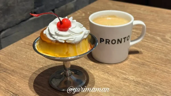 PRONTO（プロント）松山大街道店のレトロプリン1