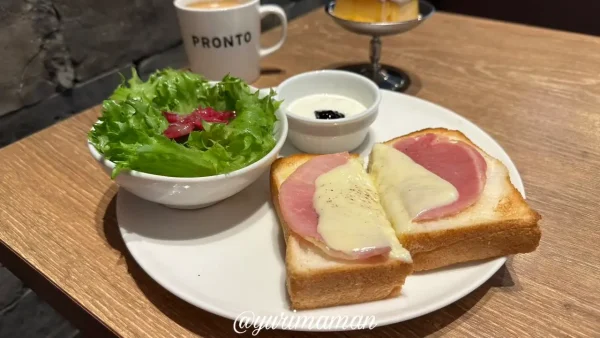 PRONTO（プロント）松山大街道店のモーニングとクラシックプリン