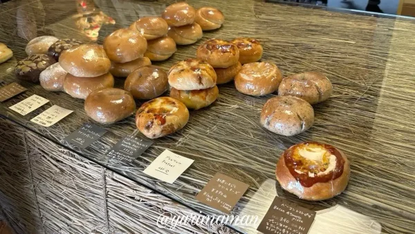 ラクダピクニック（松山ロープウェー商店街）内観写真1
