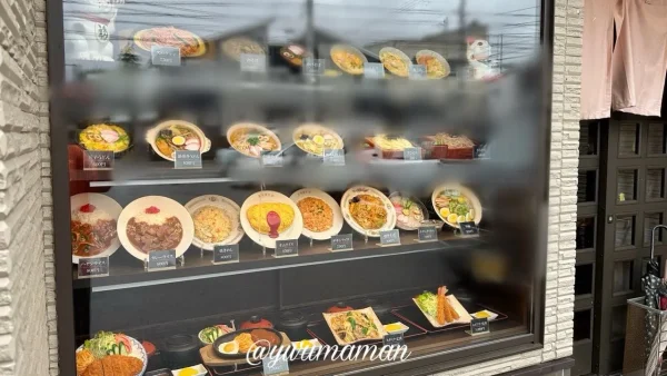 多賀屋食堂 菊本支店のメニュー（レプリカが飾れていておいしそう）1