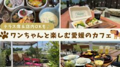 愛媛の犬連れOKカフェまとめ｜店内OKやテラス席のあるお店を紹介