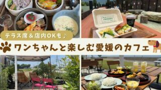 愛媛の犬連れOKカフェまとめ｜店内OKやテラス席のあるお店を紹介