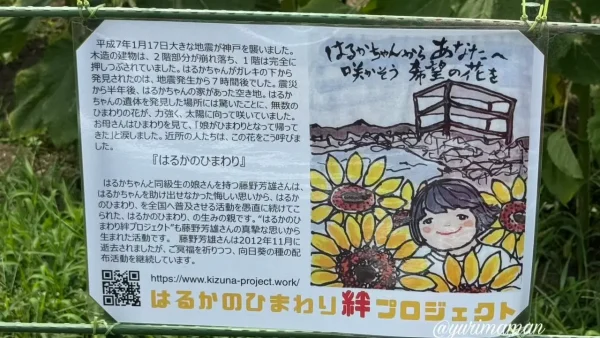 命をつなぐ「はるかのひまわり」が愛媛・新居浜に1