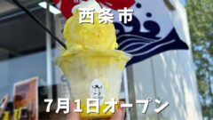 Jiri Rita（ジリリタ）西条市のかき氷専門のキッチンカーがオープン_サムネイル画像