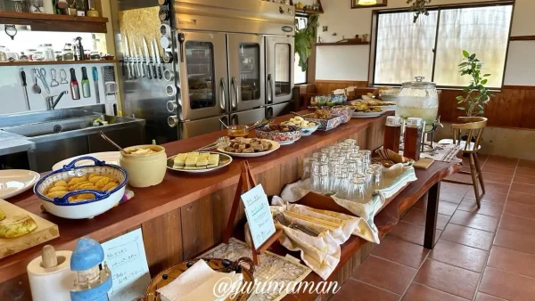 オープンキッチンのカウンターに並ぶ日替わり料理。自家製のやさしい味わいが魅力