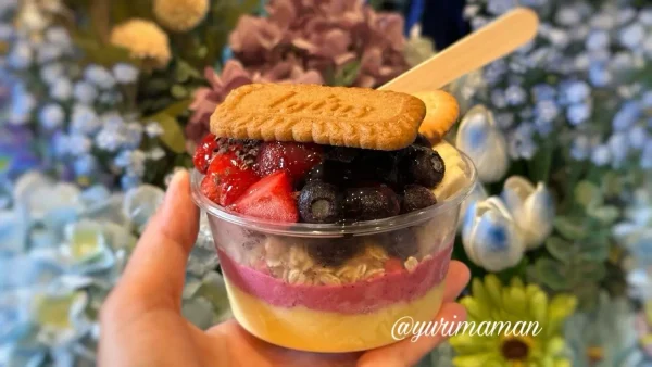 松山ロープウェー商店街「pomum」のアサイーボウル。イチゴ・ブルーベリー・バナナにロータスクッキーをトッピングした映えるスムージーボウル3
