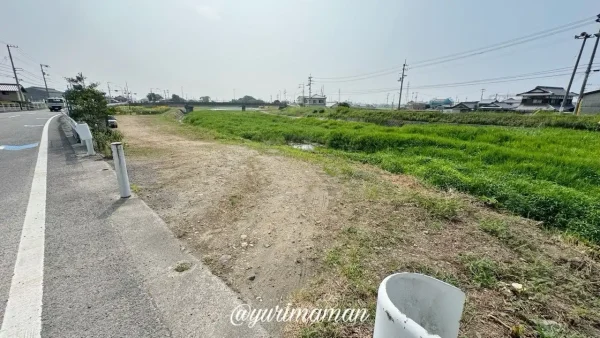 西条市渦井川河川敷のひまわり畑の駐車場