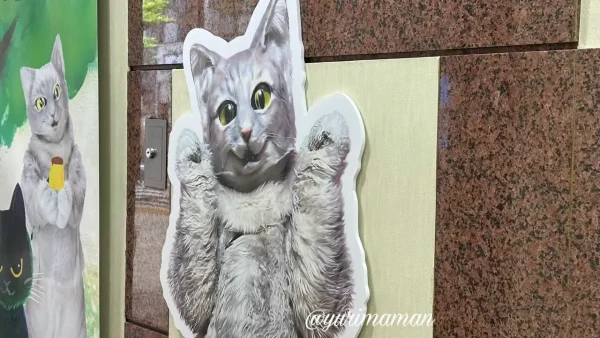 坂の上の猫大街道店（松山市）ミクちゃんがお出迎え