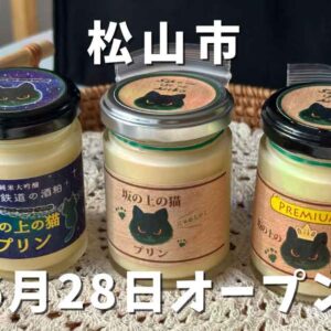 プリン専門店「坂の上の猫 大街道店」サムネイル画像