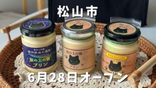 プリン専門店「坂の上の猫 大街道店」サムネイル画像