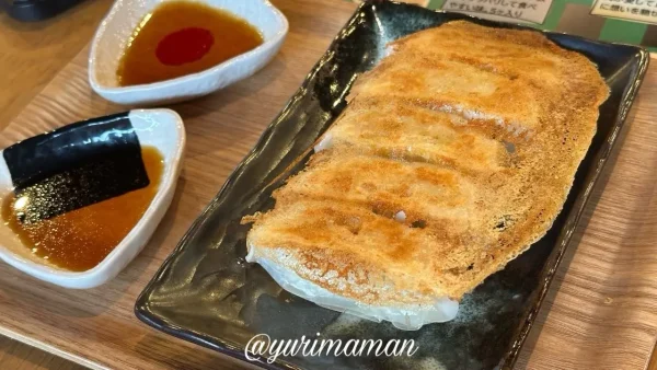 晴活食堂の餃子（松山市）