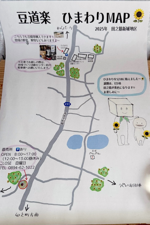 西予市田之筋ひまわり畑マップ（2025年版）