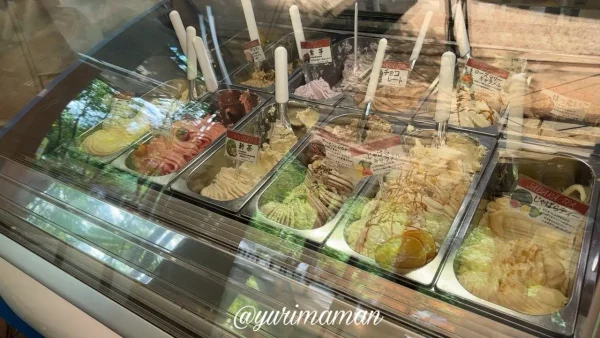 内子からりのジェラートが並ぶショーケース2
