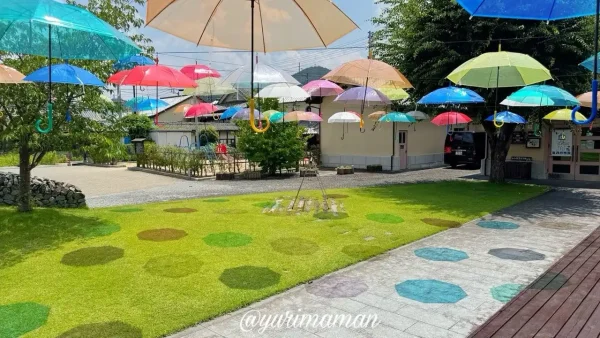 内子町アンブレラスカイ2025｜Nanzeに並ぶカラフルな傘の風景7