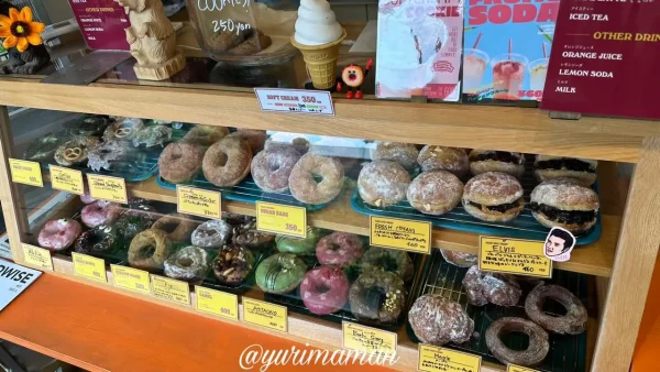 松山市バロードーナツの店内ショーケースに並ぶ日替わりドーナツ1