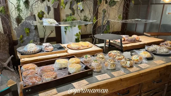 シャルム店内に並ぶ天然酵母パン30種類以上｜内子町のおしゃれパンカフェ
