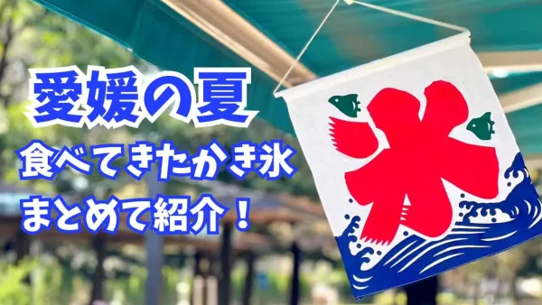 愛媛かき氷まとめ冒頭イメージ - ゆりママんブログ 愛媛かき氷まとめ冒頭イメージ
