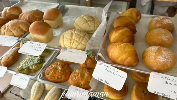 グリグラカフェ（松山市駅近く）パンが並ぶ内観ディスプレイ2