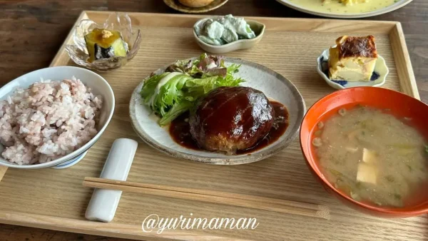 感食堂のハンバーグランチ、副菜と雑穀米付き