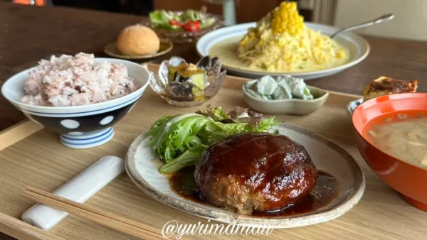 感食堂のハンバーグランチ（松山市北条の古民家カフェ）