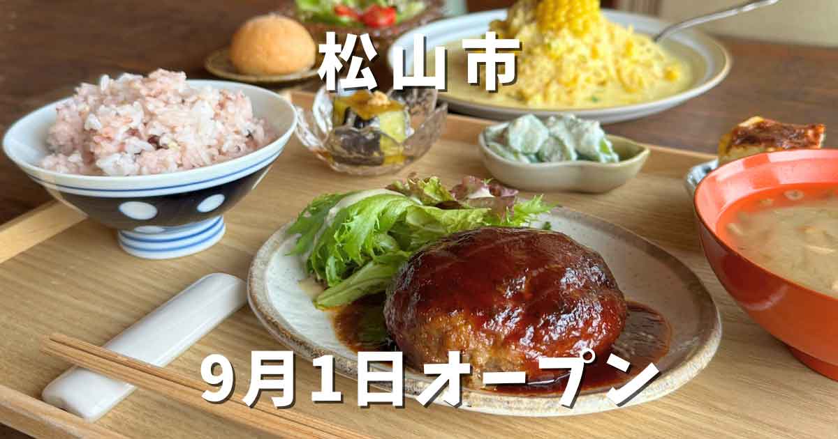 松山市北条にオープンの古民家カフェ「感食堂」サムネイル画像