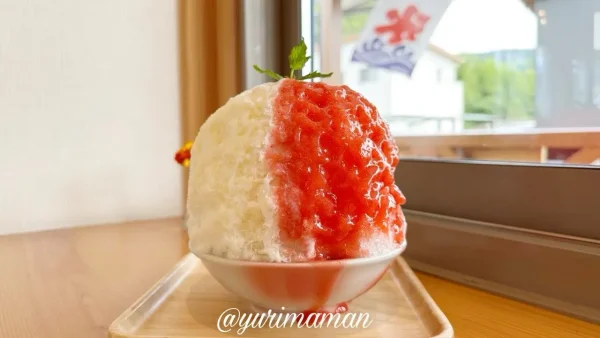 クマカフェ（久万高原町）いちごのかき氷4