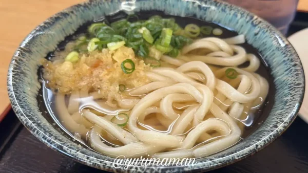 四国中央市 手打ちうどんまいど かけうどん 実食レビュー1