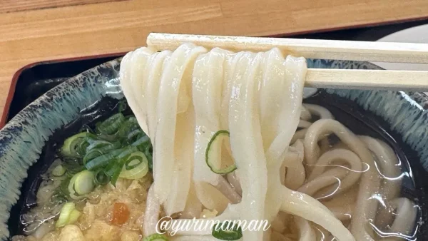 四国中央市 手打ちうどんまいど かけうどん 実食レビュー2