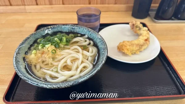 四国中央市 手打ちうどんまいど かけうどん 実食レビュー3