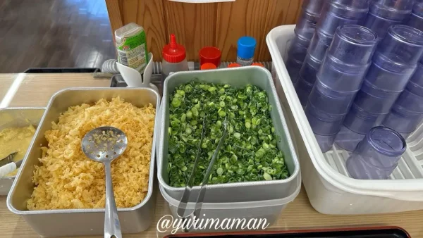 手打ちうどんまいど セルフサービスのネギ 天かす すりごま
